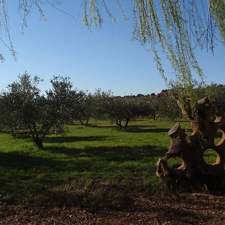 El Molino De Iramala Affittacamere Reolid Esterno foto