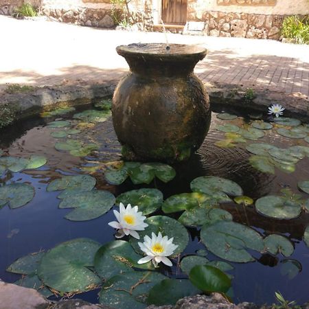 El Molino De Iramala Affittacamere Reolid Esterno foto