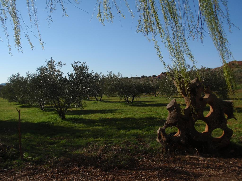 El Molino De Iramala Affittacamere Reolid Esterno foto