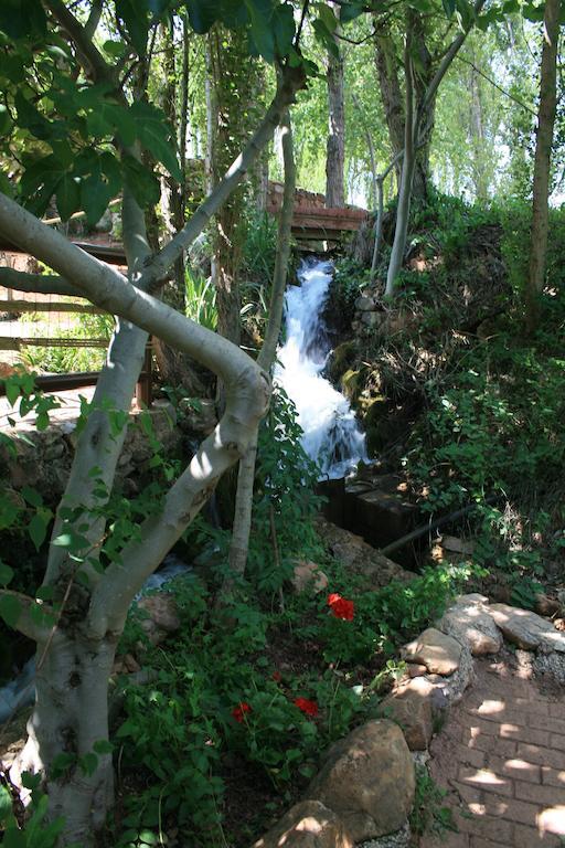 El Molino De Iramala Affittacamere Reolid Esterno foto